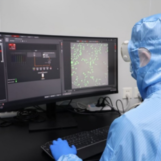 Targeted Peptide Delivery Systems