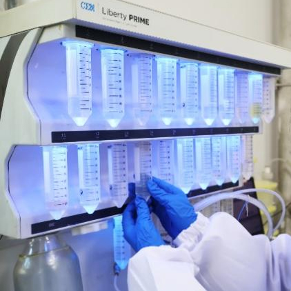 Custom Peptide Synthesis Services