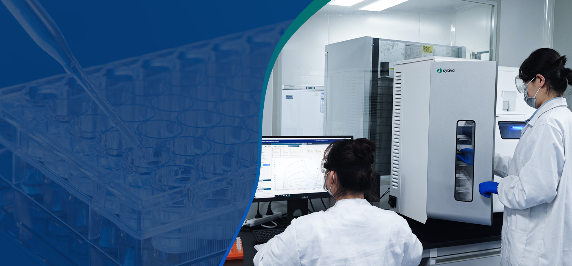 High-Throughput Screening Powered by 3D-Structured Peptide Library and the MTDD Platform