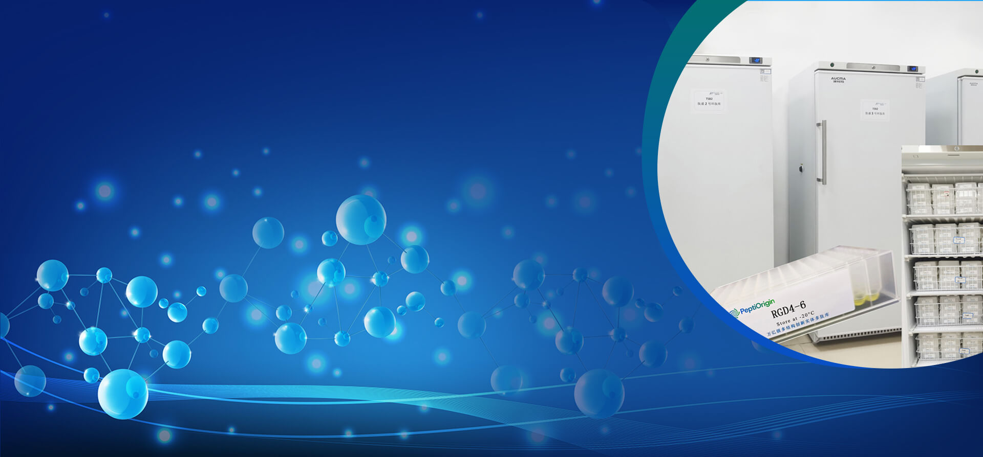 Revolutionary Peptide Library Empowering Breakthroughs in Drug Discovery